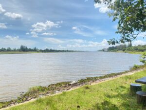 timeline_25640828_195702