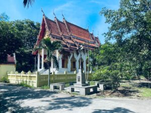 timeline_25640828_211505