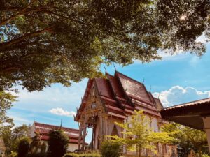 timeline_25640830_084618